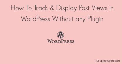 How To Track & Display Post Views in WordPress Without Any Plugin